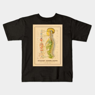 Nervous System, Medical Chart, Skeleton Print, Doctor Chart Kids T-Shirt